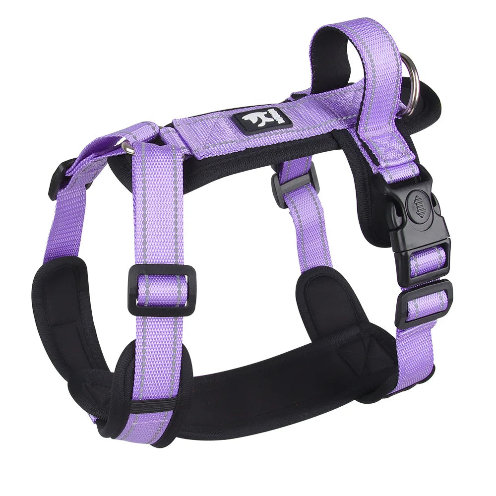 Purple and black dog harness with reflective stripes and secure buckles for trail walks