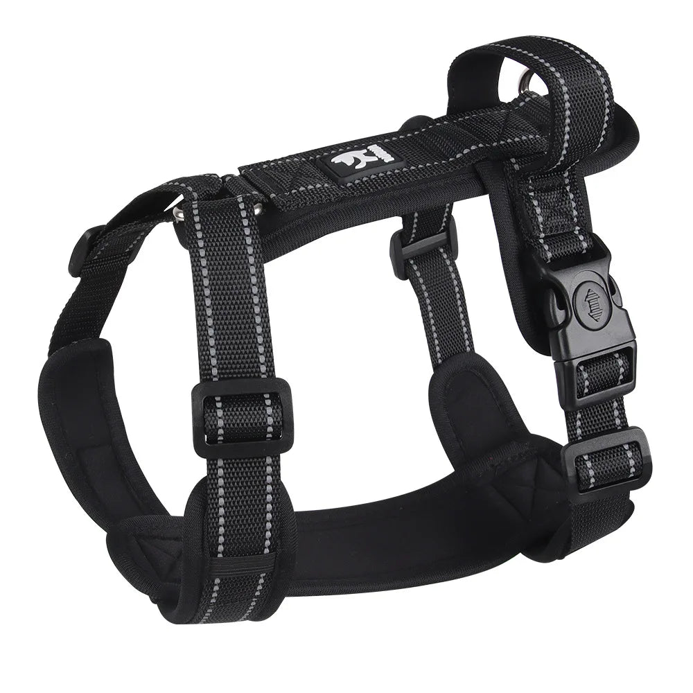 Black dog harness with reflective stitching and padded straps for all-weather trail walks