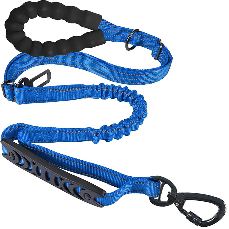 Blue dog leash with padded handle and carabiner clip for outdoor adventures
