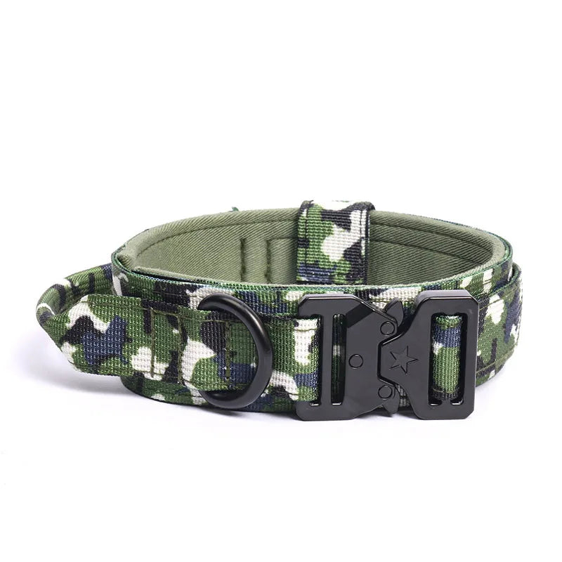 Heavy-Duty Training Collar