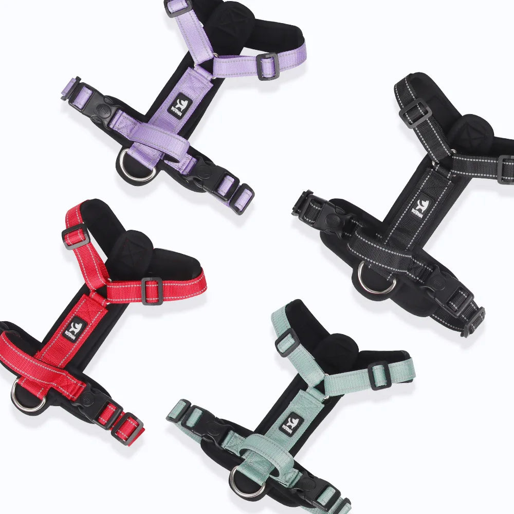 Durable dog harnesses in red, purple, black, and mint for all-weather trail adventures