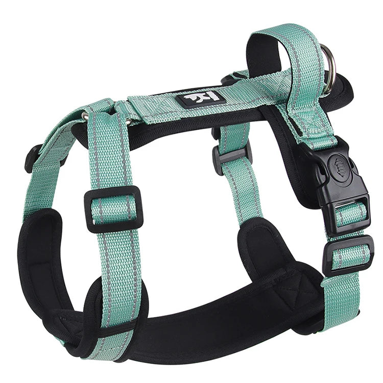 Mint green and black dog harness with reflective stripes and secure buckles for all-weather trail adventures