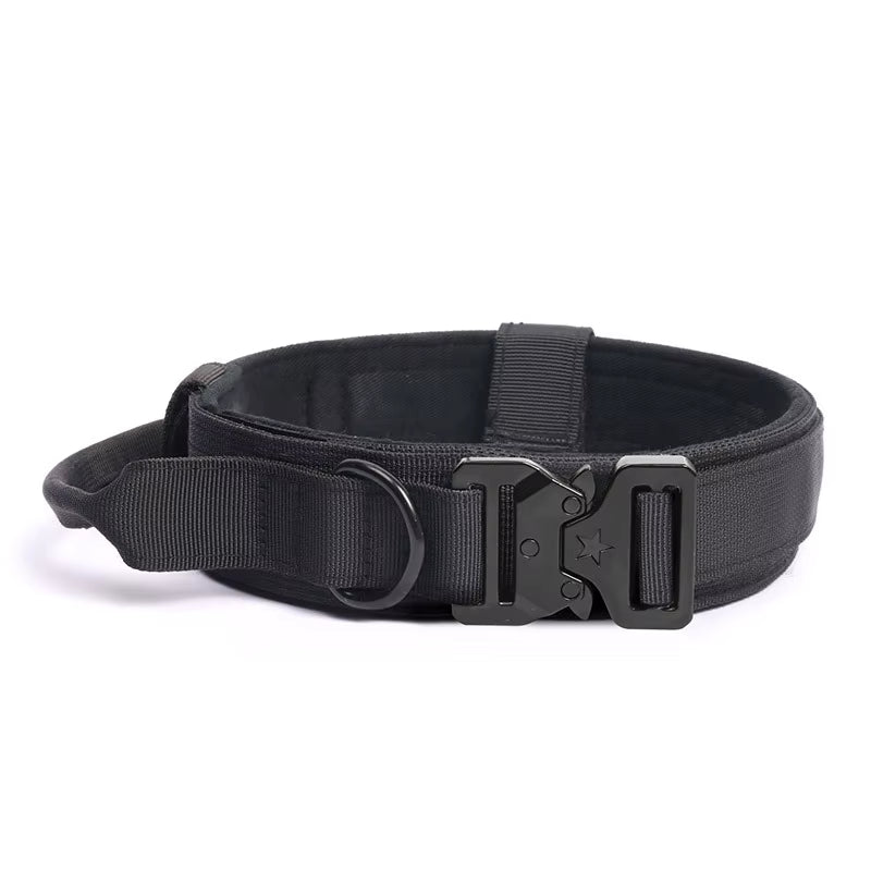 Heavy-Duty Training Collar