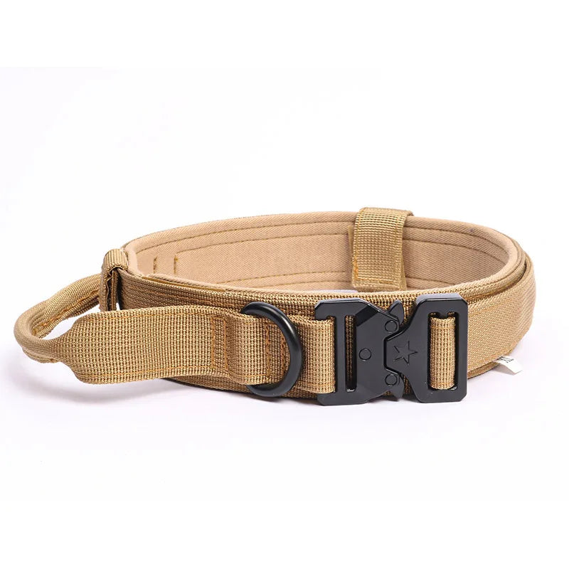 Heavy-Duty Training Collar
